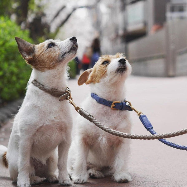 HKM-1490877 Durable Leather Large Dog Collar with Adjustable Sizes and Color Options