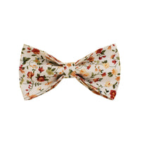 HKM-1492541 Elegant Floral Dog Collar Set with Leash, Bow, Vest, and Poop Bag