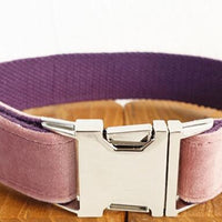 HKM-1493053 Durable Polyester Pet Traction Collar for Dogs