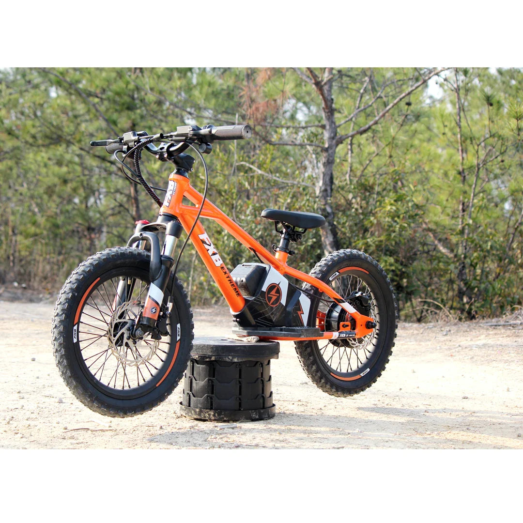 HKM-149395 16 Inch Electric Balance Bike for Kids - Aluminum Alloy, 3 Speed, Disc Brake, 36V Lithium Battery