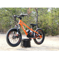HKM-149395 16 Inch Electric Balance Bike for Kids - Aluminum Alloy, 3 Speed, Disc Brake, 36V Lithium Battery