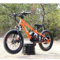 HKM-149395 16 Inch Electric Balance Bike for Kids - Aluminum Alloy, 3 Speed, Disc Brake, 36V Lithium Battery