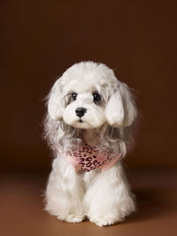 HKM-1495613 Leopard Print Hooded Sleeveless Sweater for Pets in Coffee and Pink