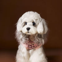 HKM-1495613 Leopard Print Hooded Sleeveless Sweater for Pets in Coffee and Pink