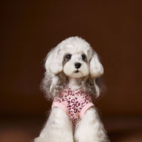 HKM-1495613 Leopard Print Hooded Sleeveless Sweater for Pets in Coffee and Pink