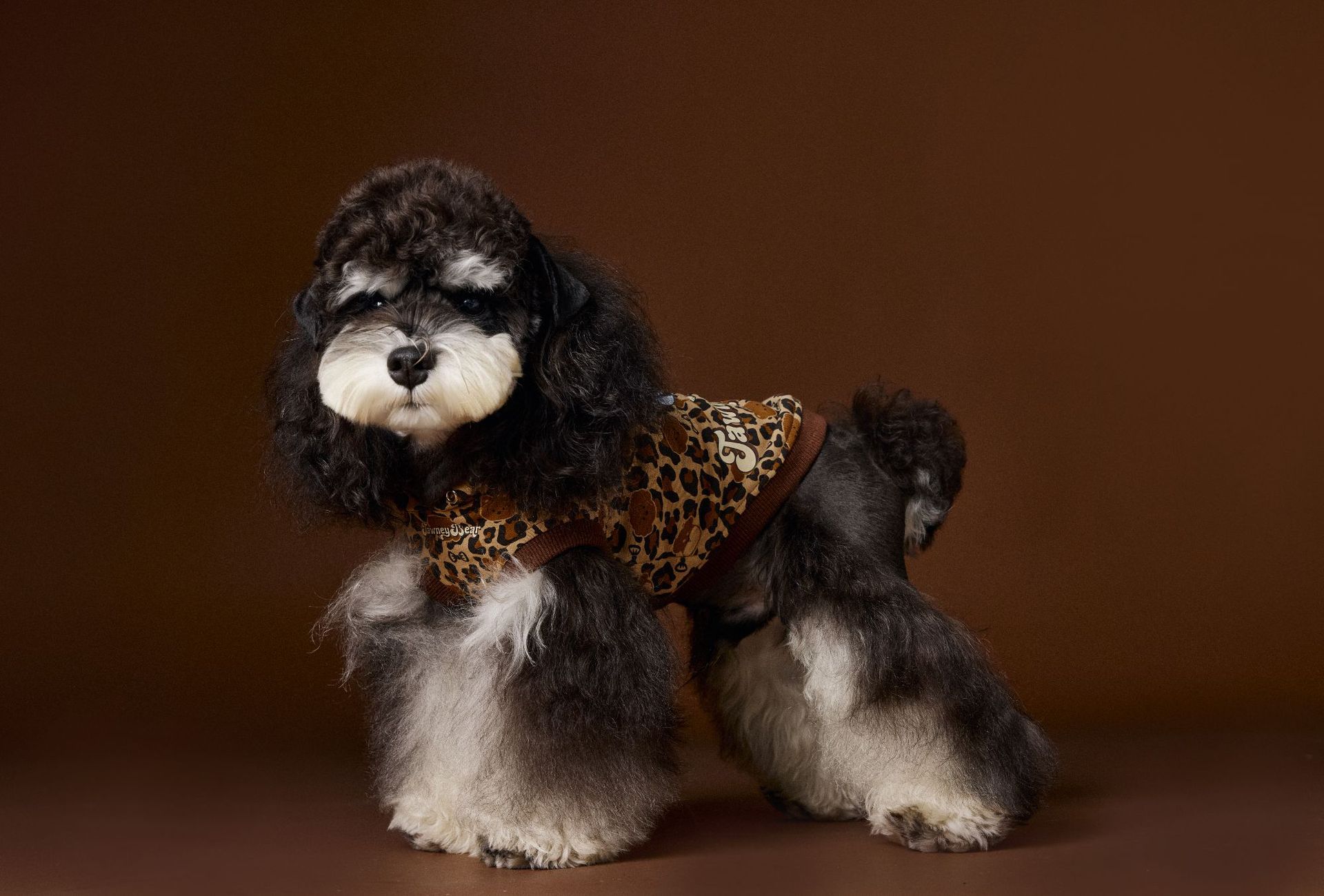 HKM-1495613 Leopard Print Hooded Sleeveless Sweater for Pets in Coffee and Pink