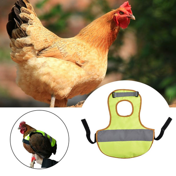 HKM-1496125 Reflective Chicken Vest in Red, Green, and Black - All Sizes, Durable Polyester Material