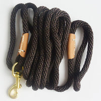 HKM-1496637 Durable Nylon Pet Traction Rope in Blue, Brown, and Green