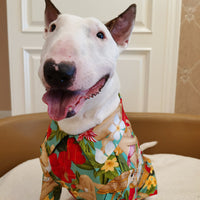 HKM-1499197 Hawaiian Print Pet Shirt for Cats and Dogs in Multiple Sizes