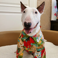 HKM-1499197 Hawaiian Print Pet Shirt for Cats and Dogs in Multiple Sizes