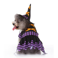 HKM-1500989 Halloween Purple Acrylic Pet Skirt for Dogs - Available in Multiple Sizes