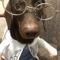 HKM-1501373 Dachshund Doctor Funny Costume - Polyester Pet Outfit in Various Sizes