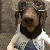 HKM-1501373 Dachshund Doctor Funny Costume - Polyester Pet Outfit in Various Sizes