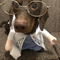 HKM-1501373 Dachshund Doctor Funny Costume - Polyester Pet Outfit in Various Sizes