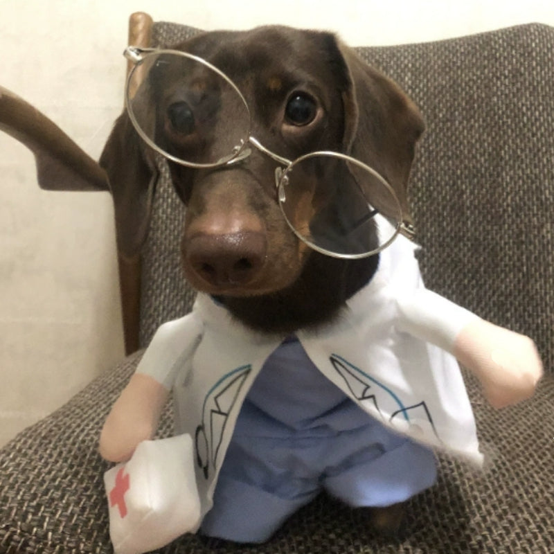 HKM-1501373 Dachshund Doctor Funny Costume - Polyester Pet Outfit in Various Sizes