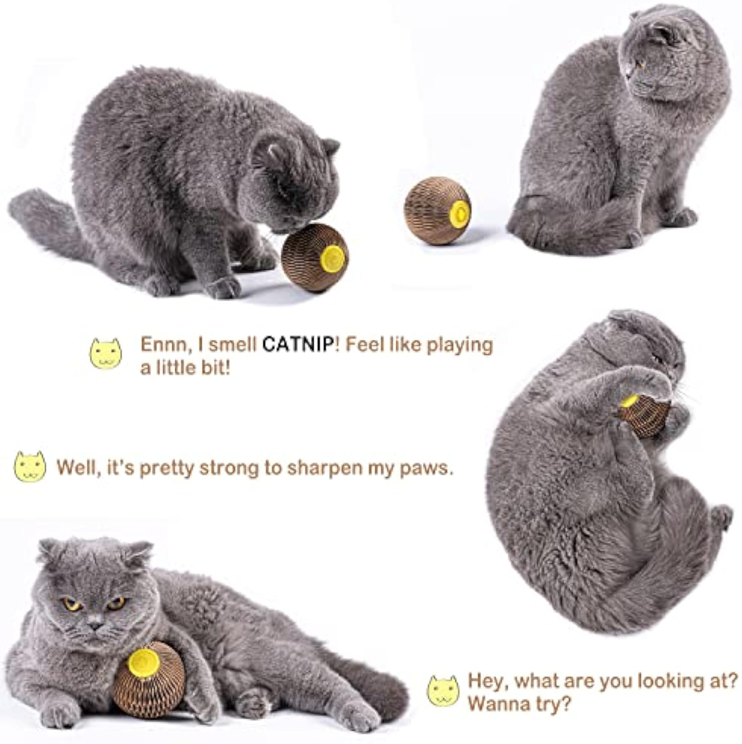 HKM-1504061 Catnip Scratch Ball Toy for Cats - Eco-Friendly Refillable Natural Catnip, Combines Scratching and Playing, Reduces Obesity and Loneliness