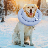 HKM-1504573 Adjustable Elizabethan Collar for Cats and Dogs - Waterproof Recovery Cone for Wound Healing