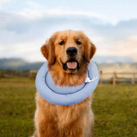HKM-1504573 Adjustable Elizabethan Collar for Cats and Dogs - Waterproof Recovery Cone for Wound Healing