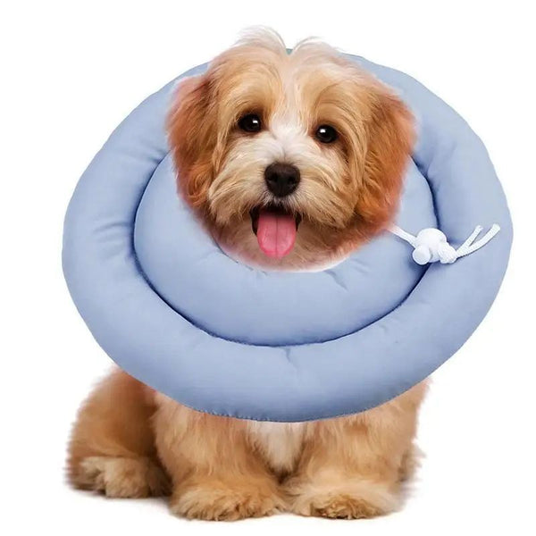 HKM-1504573 Adjustable Elizabethan Collar for Cats and Dogs - Waterproof Recovery Cone for Wound Healing