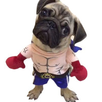 HKM-1509949 Cat Boxer Costume for Adults - Various Sizes Available