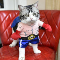 HKM-1509949 Cat Boxer Costume for Adults - Various Sizes Available