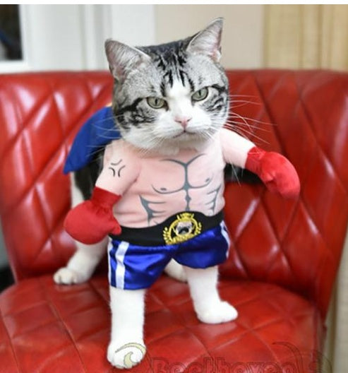 HKM-1509949 Cat Boxer Costume for Adults - Various Sizes Available