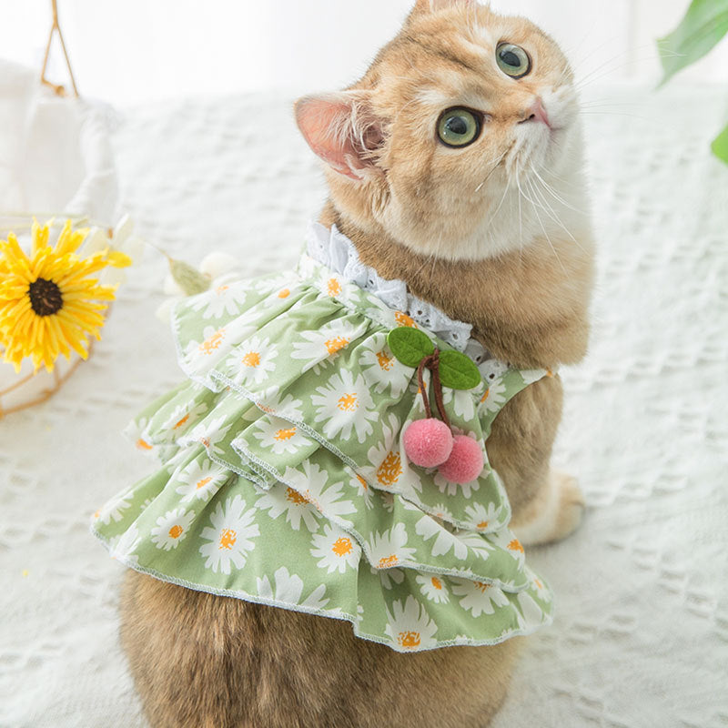 HKM-1510717 Daisy Print Summer Cat Suspender Dress in Green - Various Sizes Available