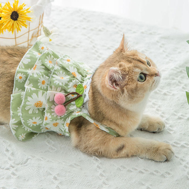 HKM-1510717 Daisy Print Summer Cat Suspender Dress in Green - Various Sizes Available