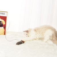 HKM-1513149 Interactive Feather Cat Toy on a Stick for Engaging Playtime