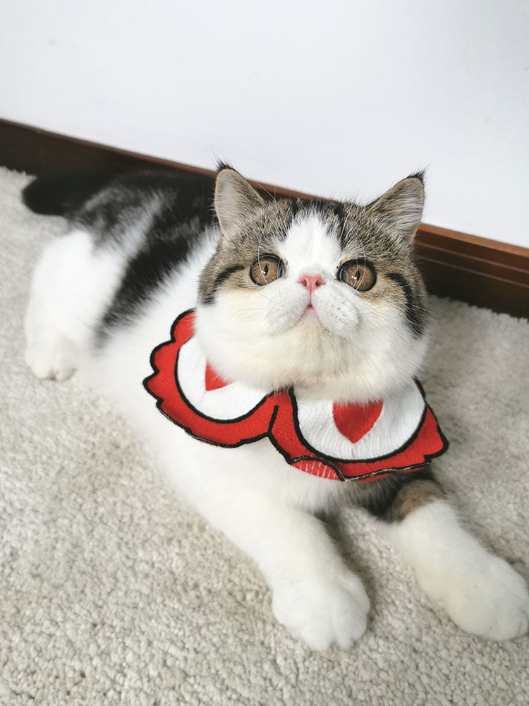 HKM-1515709 Cute Pet Scarf Collar for Small Dogs and Cats, Size S/L (20-40cm)