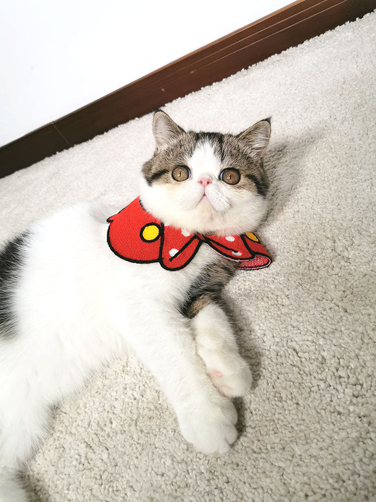 HKM-1515709 Cute Pet Scarf Collar for Small Dogs and Cats, Size S/L (20-40cm)