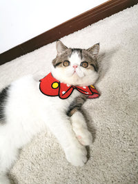 HKM-1515709 Cute Pet Scarf Collar for Small Dogs and Cats, Size S/L (20-40cm)
