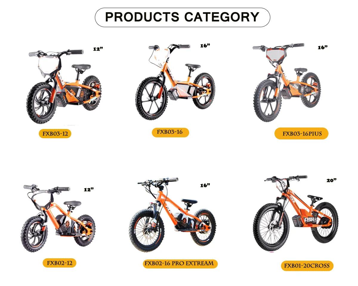 HKM-151699 Kids' 16-Inch Electric Balance Bike with Steel Fork and Disc Brake, 2-Speed, 350W Motor, for Ages 5+