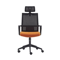 HKM-152147 Ergonomic Mesh Office Chair with Adjustable Headrest and Lumbar Support
