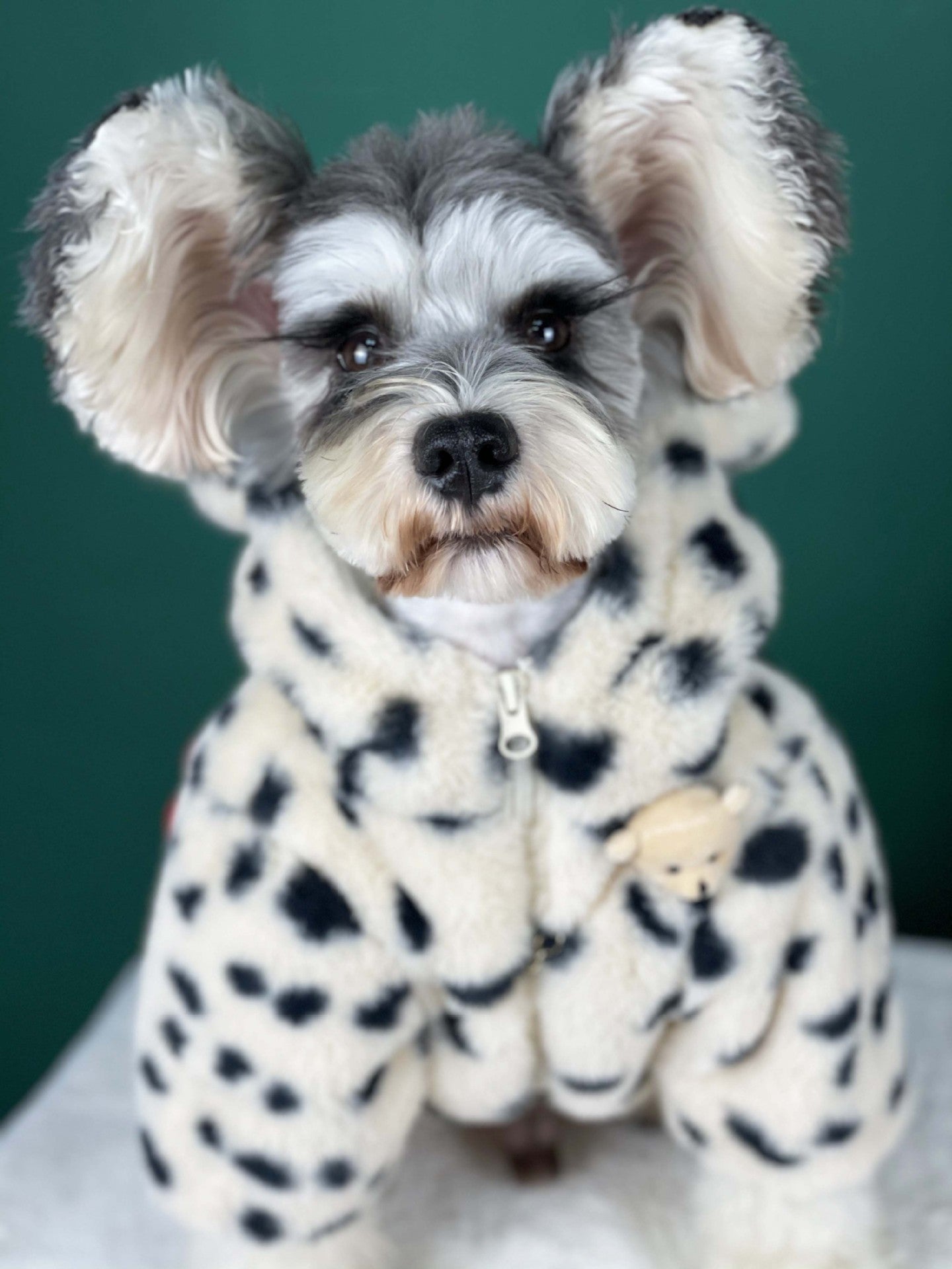 HKM-1522237 Warm Spotted Plush Coat for Dogs - Thick Coral Fleece, Autumn & Winter Friendly