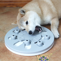 HKM-1524029 Suction Cup Slow Feeder Dog Bowl for Healthy Eating and Digestive Health
