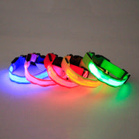 HKM-1525821 Nylon Dog Collar in Various Colors - Adjustable Sizes S, M, L