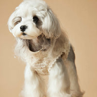 HKM-1528381 Sleeveless Cotton Princess Style Dress for Pets - Teddy Schnauzer, Bichon, Yorkshire Skirt