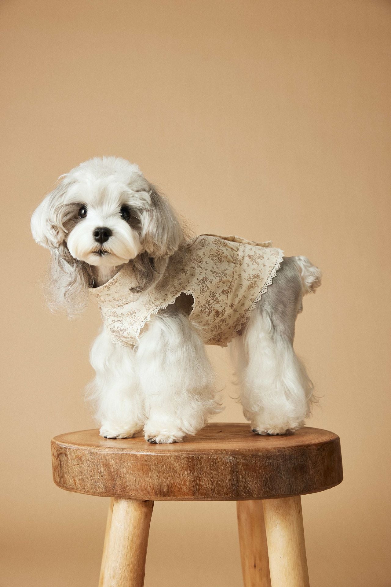 HKM-1528381 Sleeveless Cotton Princess Style Dress for Pets - Teddy Schnauzer, Bichon, Yorkshire Skirt