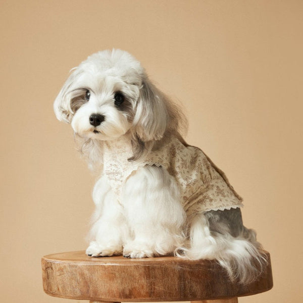 HKM-1528381 Sleeveless Cotton Princess Style Dress for Pets - Teddy Schnauzer, Bichon, Yorkshire Skirt