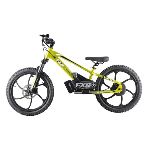 HKM-152851 20 Inch Electric Balance Bike for Kids - Aluminum Alloy Frame, 3 Speed, Hydraulic Disc Brakes, 600W Motor, 80kg Capacity