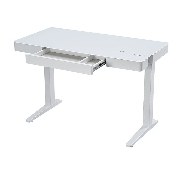 HKM-153299 Adjustable Standing Desk with USB Charging Port for Home Office Use