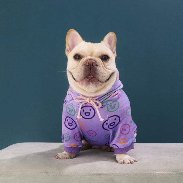 HKM-1534653 Cozy Cartoon Velvet Sweater for Dogs – Spring and Autumn Styles Available