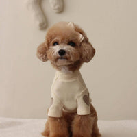 HKM-1535165 Autumn and Winter Base Embroidery Sweater for Dogs in Beige, Pink, Dark Green, and Brown