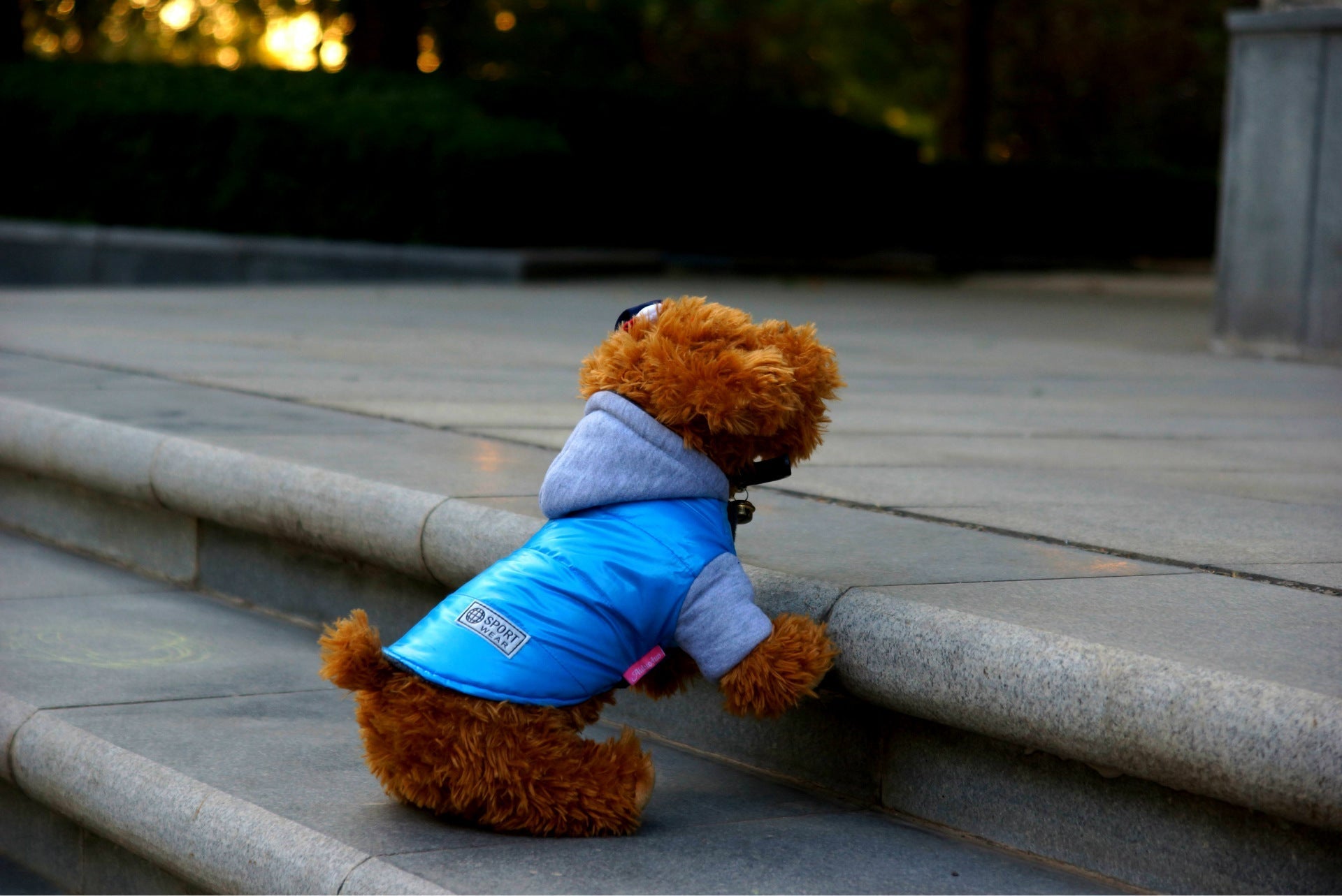 HKM-1535933 Casual Cotton Vest for Dogs - Perfect for Autumn and Winter Wear