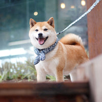 HKM-1537341 Cotton Japanese Style Pet Collar for Dogs - Red, Green, Blue, Sizes S, M, L