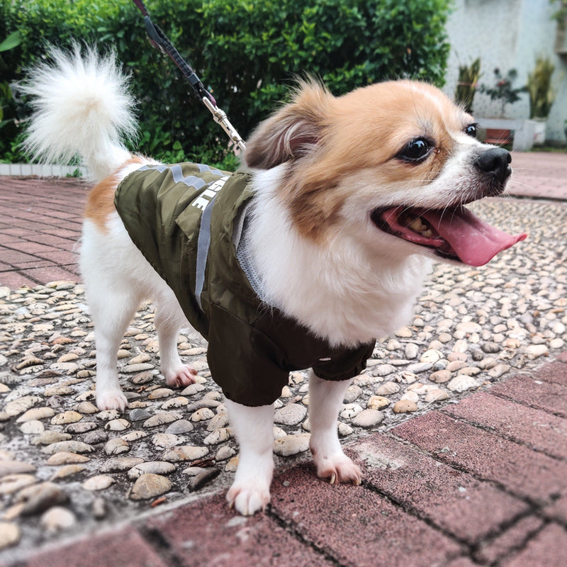 HKM-1537725 Reflective Pet Raincoat in Dark Green and Fluorescent Yellow - Casual Polyester Design