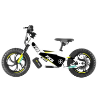 HKM-154003 Electric 36V Children’s Bike 12 Inch Ride-On Cycle for Kids Aged 3-8 with Brushless Motor and Disc Brake