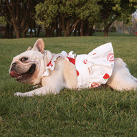 HKM-1541693 Lotus Leaf Lace Suspender Skirt for Small and Medium Dogs and Cats - Ruffled Sling Design with Strawberry Print
