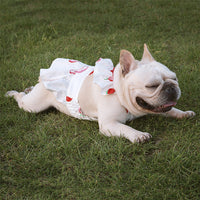 HKM-1541693 Lotus Leaf Lace Suspender Skirt for Small and Medium Dogs and Cats - Ruffled Sling Design with Strawberry Print